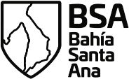 BSA