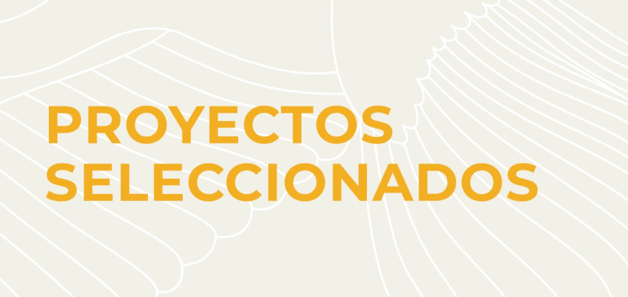 PROYECTOS SELECCIONADOS